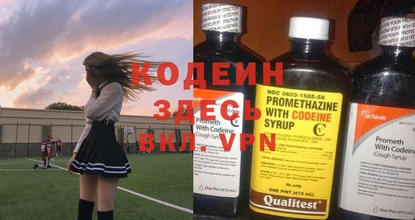 таблы Бородино