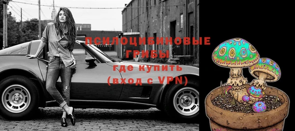 МДПВ Бронницы