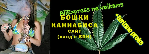 гашик Богородск