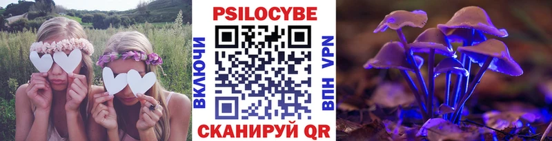 закладки  Шагонар  Псилоцибиновые грибы Psilocybine cubensis 